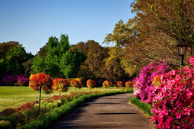 Manteniment de jardins